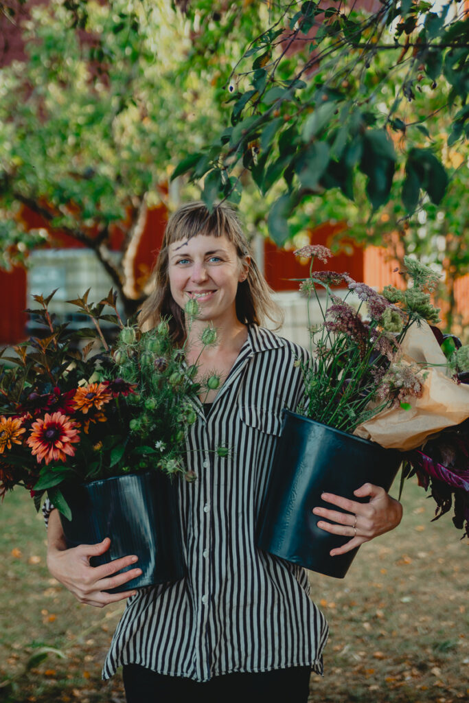 solbackenfoto webb 11