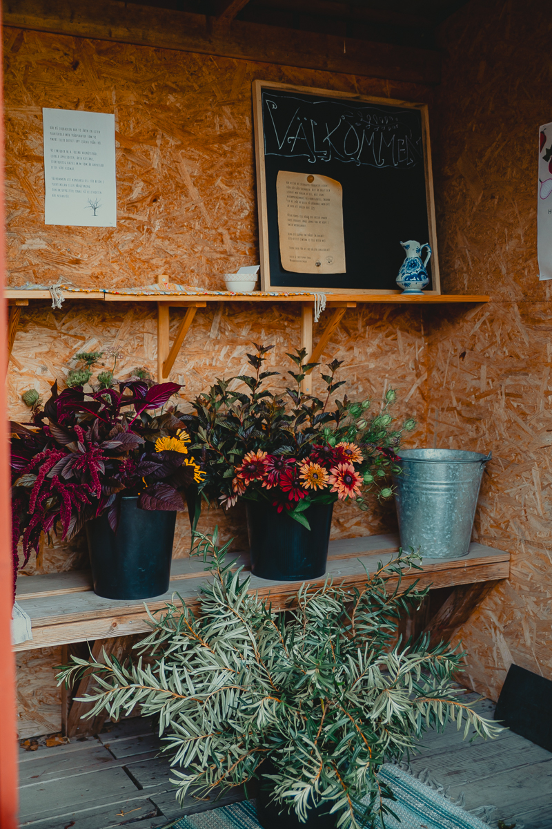 Mastering the First Impression: Your intriguing post title goes here