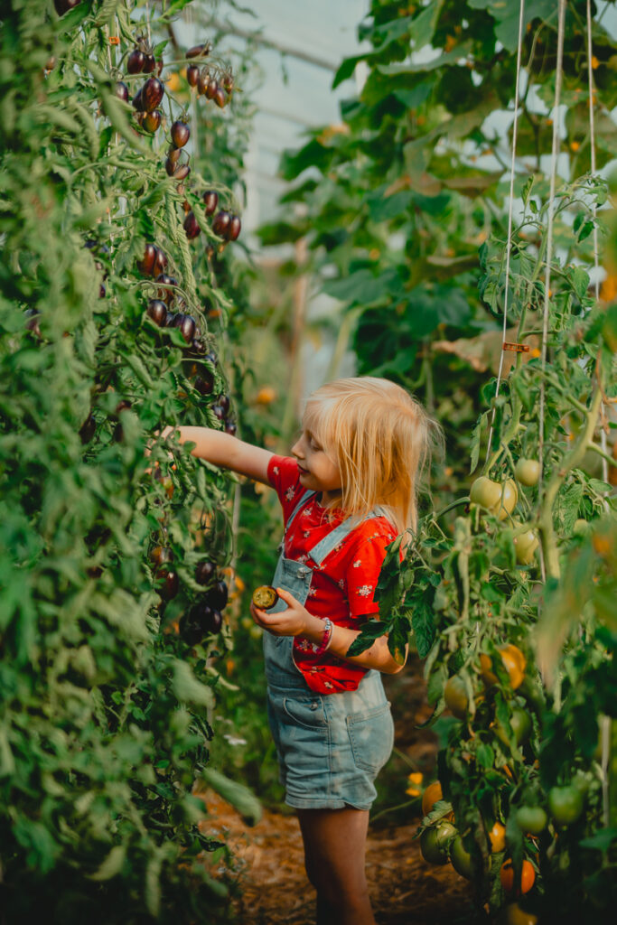 solbackenfoto webb 28