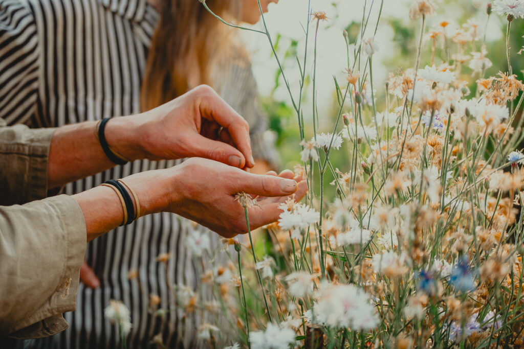 solbackenfoto webb 45