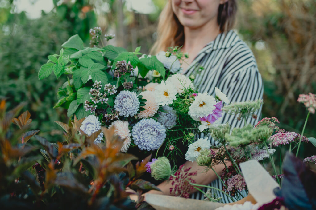 solbackenfoto webb 7